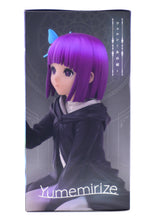 Load image into Gallery viewer, Frieren: Beyond Journey&#39;s End Yumemirize In Those Days Fern figure