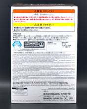 Load image into Gallery viewer, Frieren: Beyond Journey's End Winter Coat Frieren figure